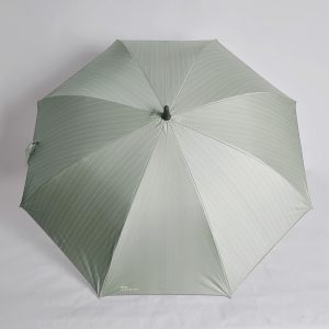 Green luminous umbrella