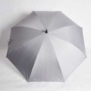 Gray luminous umbrella