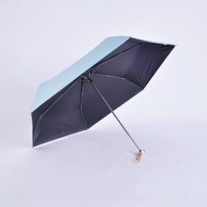 Beautiful skin umbrella