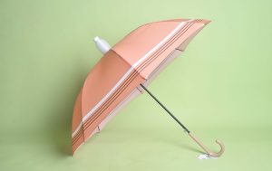non-wet umbrella